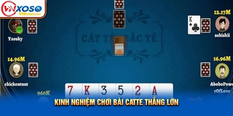Kinh nghiệm chơi bài catte thắng lớn Kinh nghiệm chơi bài catte thắng lớn