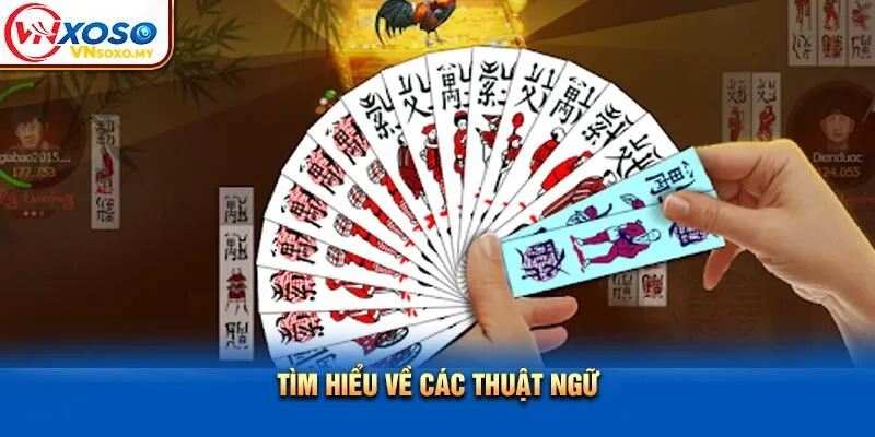 Tìm hiểu về các thuật ngữ Tìm hiểu về các thuật ngữ