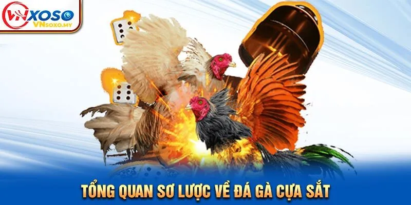 Tổng quan sơ lược về đá gà cựa sắt Tổng quan sơ lược về đá gà cựa sắt